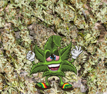 Load image into Gallery viewer, Roll-up Food Tray